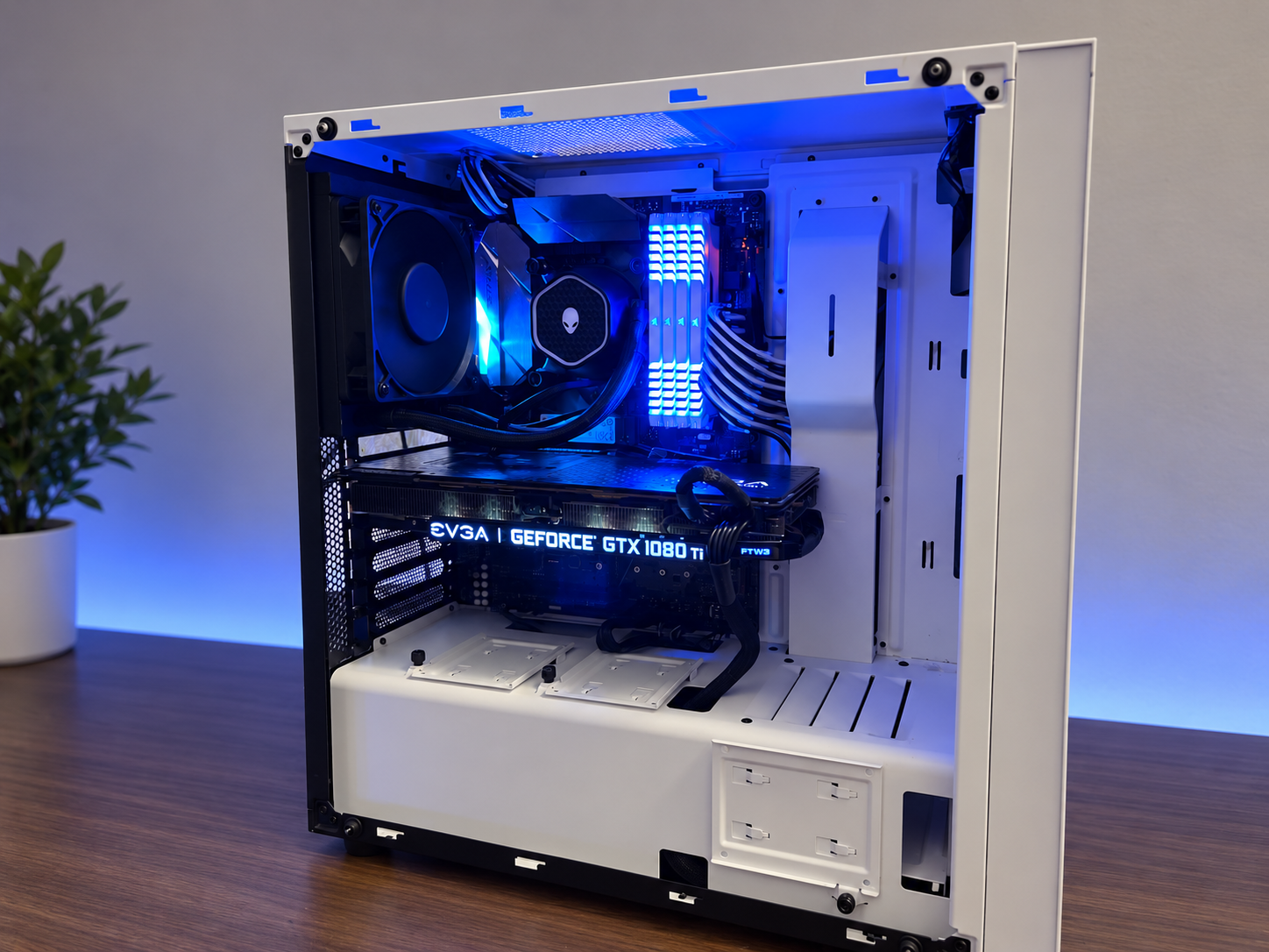 1080 Ti Build